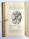 Antique 1879 Anatomy Dissection Medical Book by Ellis, 249 Anatomy Illustrations