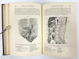 Antique 1893 Anatomy Dissections Medical Book by Heath, 329 Engravings on Wood