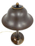 Antique Art Nouveau Bronze Lamp 17" with 2 Light Arms and Brass Shade, New Wires