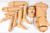 Medical Airway Manikin 59" Full Size Nasco Lifeform, Articulated Waist Arms Legs