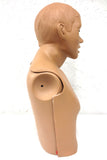 Gaumard Medical Manikin Torso & Head Set 2', CPR Sima Model, Nursing Students