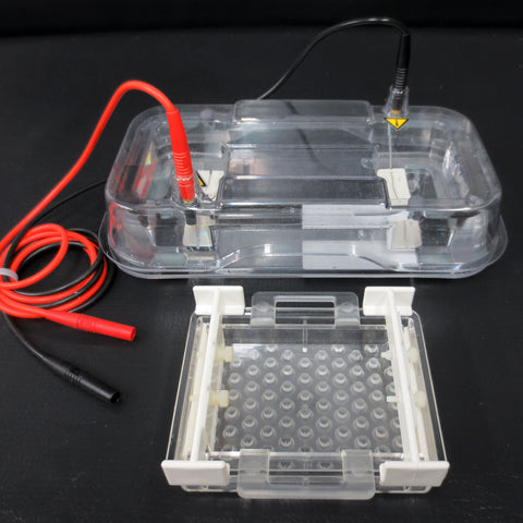 Hoefer HE 33 Mini Submarine Electrophoresis System w/ Agarose Gel Combs & Trays