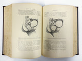 Antique 1894 Medical Obstetrics Book by Lepage/Ribemont, 476 Illustrations, Childbirth