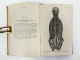 Antique Book 1890 Anatomy Atlas with 135 Engravings, Doctor A. Prodhomme