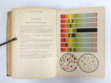 Antique 1899 Medical Atlas Book on Clinical Diagnostic, C. Jakob 68 Chromo Litho