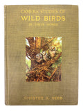 Antique 1911 Wild Birds Book Chester Albert Reed Ornithologist 200 Illustrations