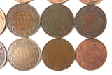 25 Coins Collection Lot of One 1 Cent Canada Coins 1876 1901 1903 1910 1911 1912